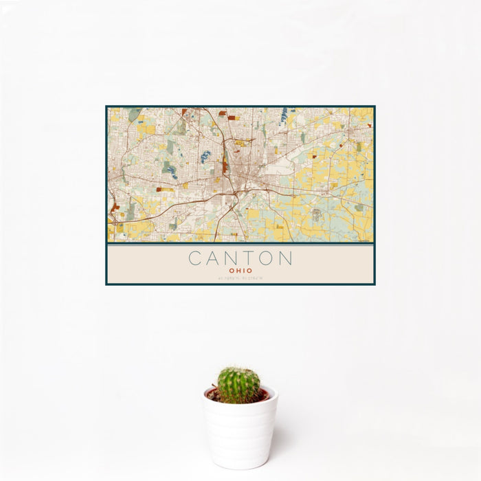 12x18 Canton Ohio Map Print Landscape Orientation in Woodblock Style With Small Cactus Plant in White Planter