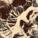 Capitol Peak Colorado Map Print in Ember Style Zoomed In Close Up Showing Details