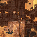 Carbondale Illinois Map Print in Ember Style Zoomed In Close Up Showing Details