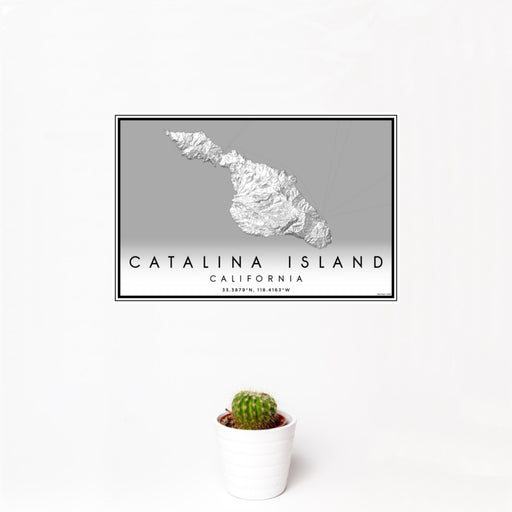 12x18 Catalina Island California Map Print Landscape Orientation in Classic Style With Small Cactus Plant in White Planter