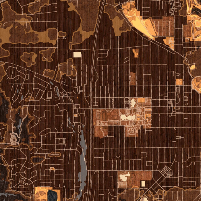 Cedar City Utah Map Print in Ember Style Zoomed In Close Up Showing Details