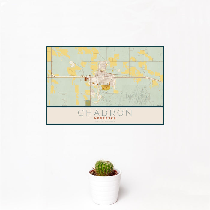 12x18 Chadron Nebraska Map Print Landscape Orientation in Woodblock Style With Small Cactus Plant in White Planter