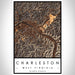 Charleston West Virginia Map Print Portrait Orientation in Ember Style With Shaded Background