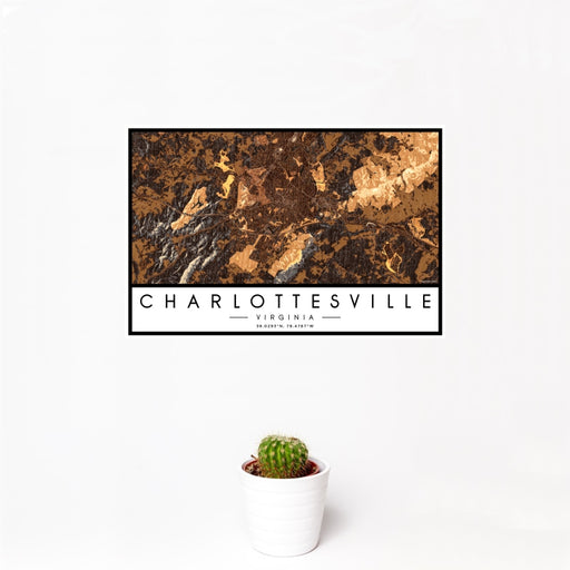 12x18 Charlottesville Virginia Map Print Landscape Orientation in Ember Style With Small Cactus Plant in White Planter