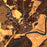 Chaska Minnesota Map Print in Ember Style Zoomed In Close Up Showing Details