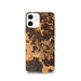 Custom iPhone 12 Clifton Virginia Map Phone Case in Ember