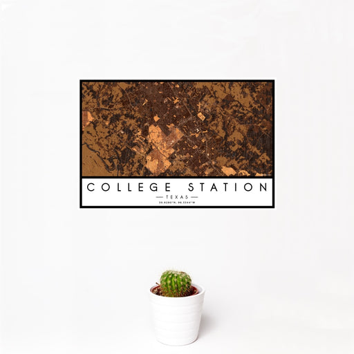 12x18 College Station Texas Map Print Landscape Orientation in Ember Style With Small Cactus Plant in White Planter