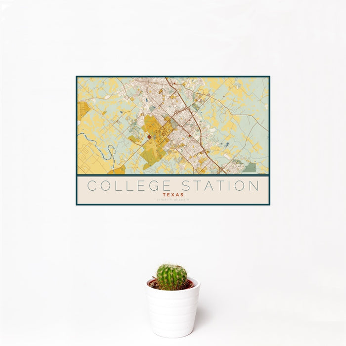 12x18 College Station Texas Map Print Landscape Orientation in Woodblock Style With Small Cactus Plant in White Planter