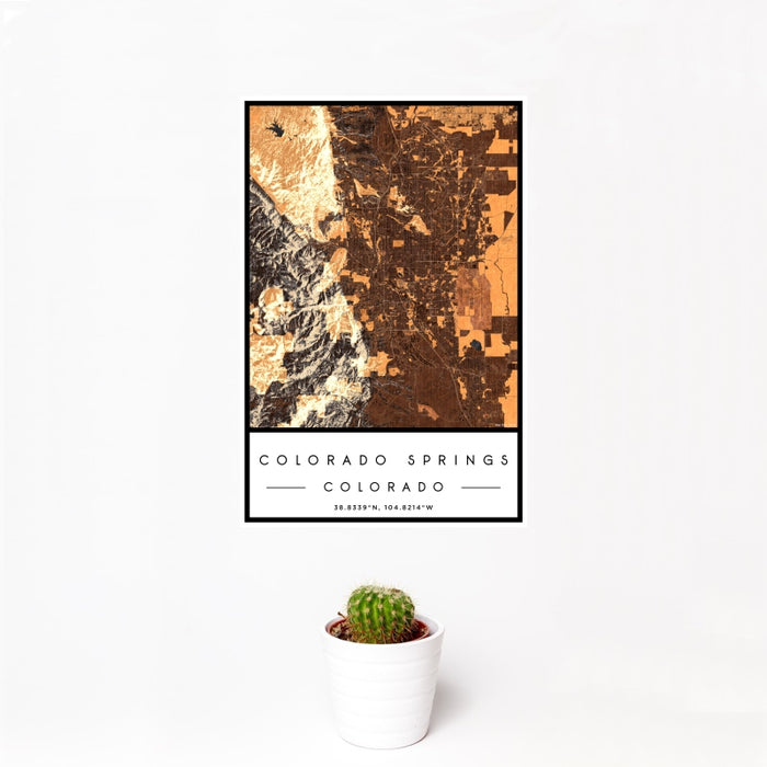 12x18 Colorado Springs Colorado Map Print Portrait Orientation in Ember Style With Small Cactus Plant in White Planter