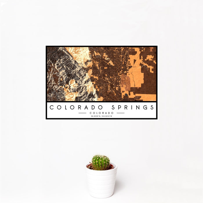 12x18 Colorado Springs Colorado Map Print Landscape Orientation in Ember Style With Small Cactus Plant in White Planter