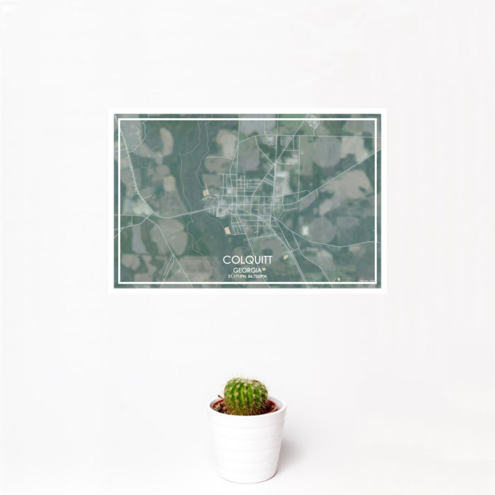 12x18 Colquitt Georgia Map Print Landscape Orientation in Afternoon Style With Small Cactus Plant in White Planter