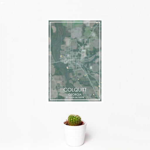 12x18 Colquitt Georgia Map Print Portrait Orientation in Afternoon Style With Small Cactus Plant in White Planter