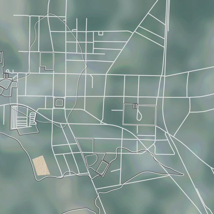 Colquitt Georgia Map Print in Afternoon Style Zoomed In Close Up Showing Details