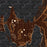 Craig Alaska Map Print in Ember Style Zoomed In Close Up Showing Details