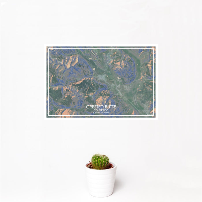 12x18 Crested Butte Colorado Map Print Landscape Orientation in Afternoon Style With Small Cactus Plant in White Planter