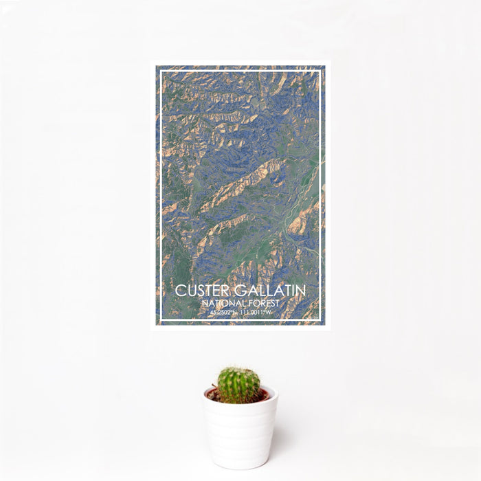 12x18 Custer Gallatin National Forest Map Print Portrait Orientation in Afternoon Style With Small Cactus Plant in White Planter