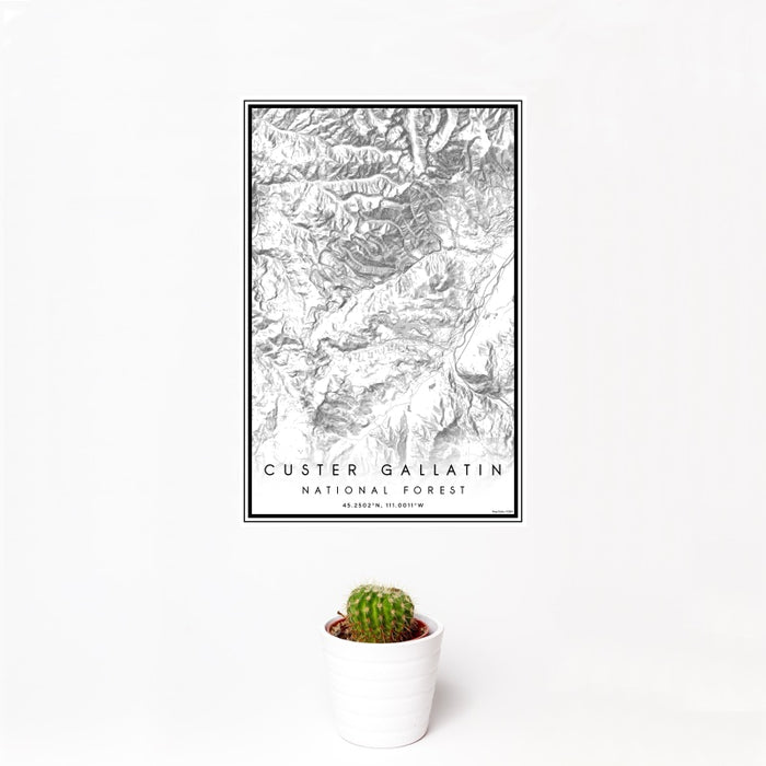 12x18 Custer Gallatin National Forest Map Print Portrait Orientation in Classic Style With Small Cactus Plant in White Planter