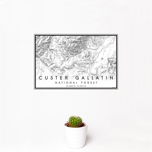 12x18 Custer Gallatin National Forest Map Print Landscape Orientation in Classic Style With Small Cactus Plant in White Planter