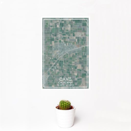 12x18 Davis California Map Print Portrait Orientation in Afternoon Style With Small Cactus Plant in White Planter