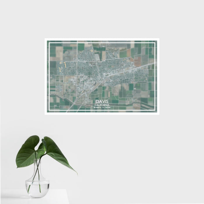 16x24 Davis California Map Print Landscape Orientation in Afternoon Style With Tropical Plant Leaves in Water
