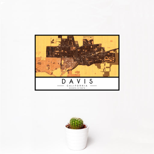 12x18 Davis California Map Print Landscape Orientation in Ember Style With Small Cactus Plant in White Planter