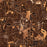 Decatur Georgia Map Print in Ember Style Zoomed In Close Up Showing Details