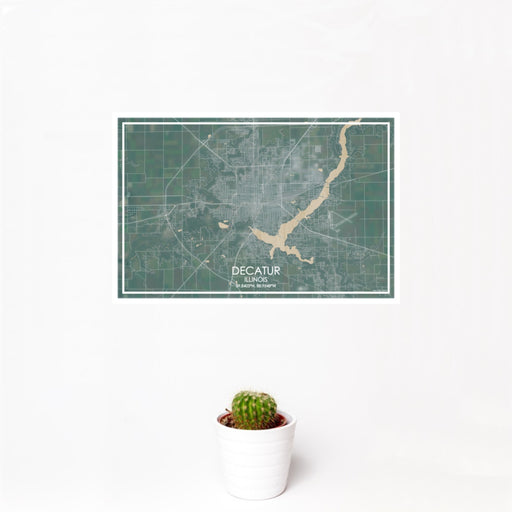 12x18 Decatur Illinois Map Print Landscape Orientation in Afternoon Style With Small Cactus Plant in White Planter