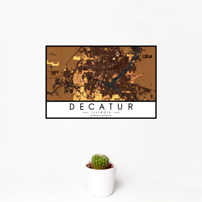 12x18 Decatur Illinois Map Print Landscape Orientation in Ember Style With Small Cactus Plant in White Planter