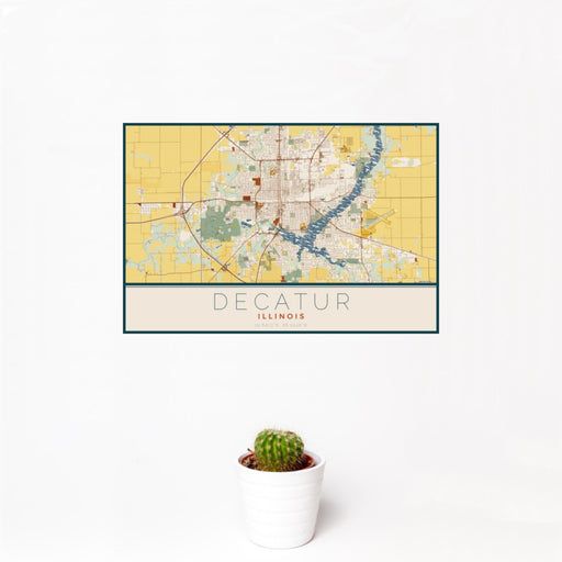 12x18 Decatur Illinois Map Print Landscape Orientation in Woodblock Style With Small Cactus Plant in White Planter