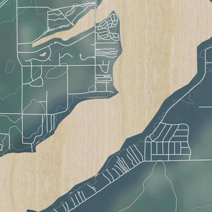 Delavan Lake Wisconsin Map Print in Afternoon Style Zoomed In Close Up Showing Details