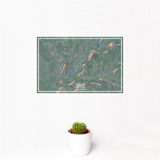 12x18 Delhi New York Map Print Landscape Orientation in Afternoon Style With Small Cactus Plant in White Planter