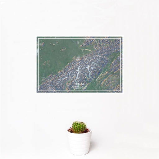 12x18 Denali National Park Map Print Landscape Orientation in Afternoon Style With Small Cactus Plant in White Planter