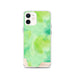 Custom Denali National Park Map iPhone 12 Phone Case in Watercolor
