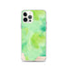 Custom Denali National Park Map iPhone 12 Pro Phone Case in Watercolor