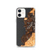 Custom iPhone 12 Depoe Bay Oregon Map Phone Case in Ember