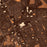 Detroit Michigan Map Print in Ember Style Zoomed In Close Up Showing Details