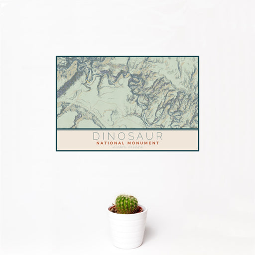 12x18 Dinosaur National Monument Map Print Landscape Orientation in Woodblock Style With Small Cactus Plant in White Planter