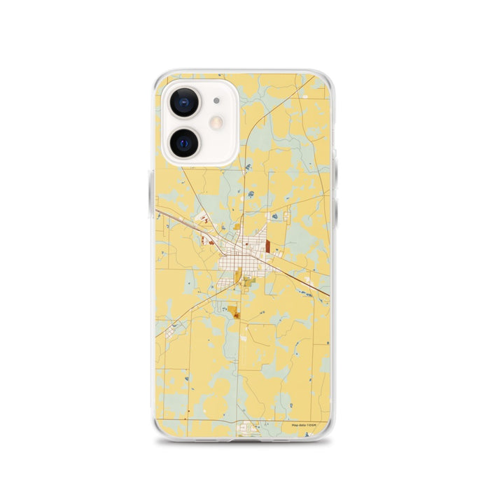 Custom Donalsonville Georgia Map iPhone 12 Phone Case in Woodblock