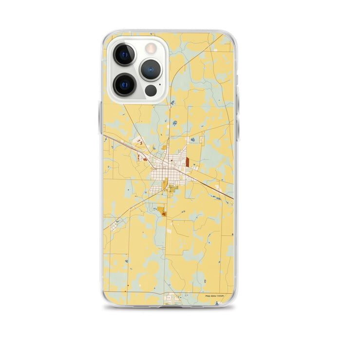 Custom Donalsonville Georgia Map iPhone 12 Pro Max Phone Case in Woodblock