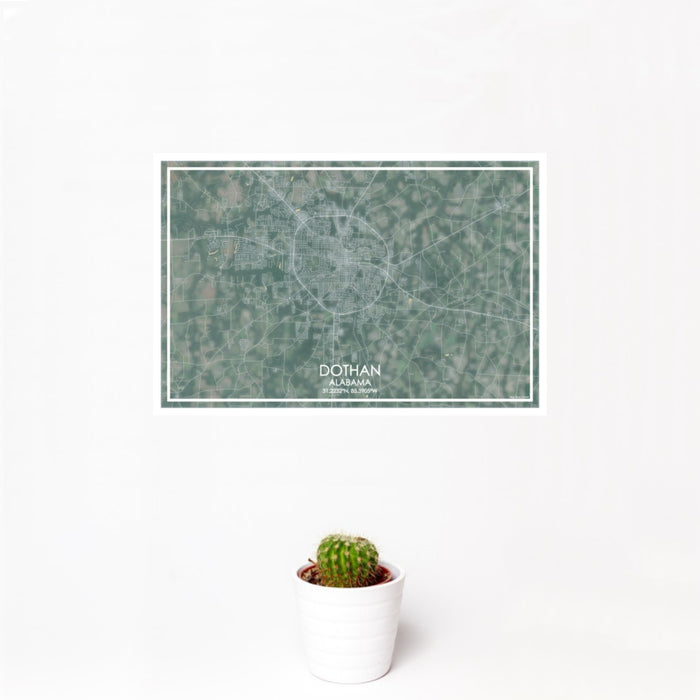 12x18 Dothan Alabama Map Print Landscape Orientation in Afternoon Style With Small Cactus Plant in White Planter
