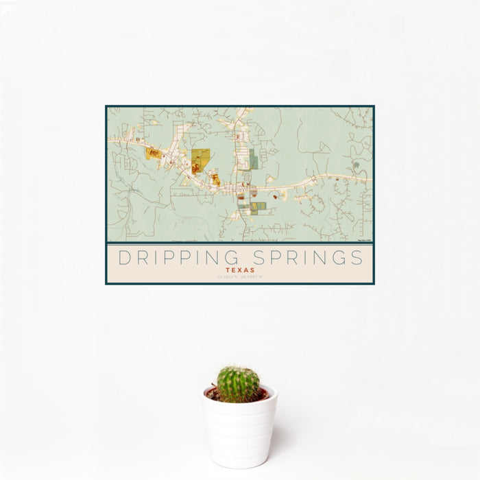 12x18 Dripping Springs Texas Map Print Landscape Orientation in Woodblock Style With Small Cactus Plant in White Planter