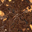 Duluth Georgia Map Print in Ember Style Zoomed In Close Up Showing Details