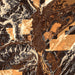 Durango Colorado Map Print in Ember Style Zoomed In Close Up Showing Details
