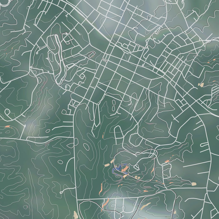 Elberton Georgia Map Print in Afternoon Style Zoomed In Close Up Showing Details