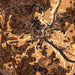 Ellicott City Maryland Map Print in Ember Style Zoomed In Close Up Showing Details