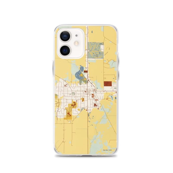Custom iPhone 12 Evansville Wisconsin Map Phone Case in Woodblock