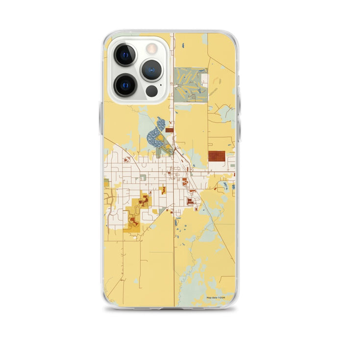Custom iPhone 12 Pro Max Evansville Wisconsin Map Phone Case in Woodblock