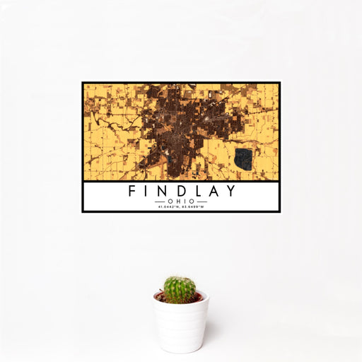 12x18 Findlay Ohio Map Print Landscape Orientation in Ember Style With Small Cactus Plant in White Planter