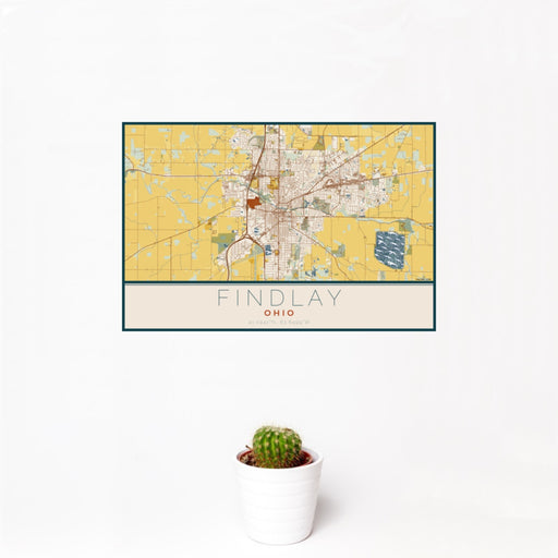 12x18 Findlay Ohio Map Print Landscape Orientation in Woodblock Style With Small Cactus Plant in White Planter