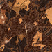 Fort Mill South Carolina Map Print in Ember Style Zoomed In Close Up Showing Details